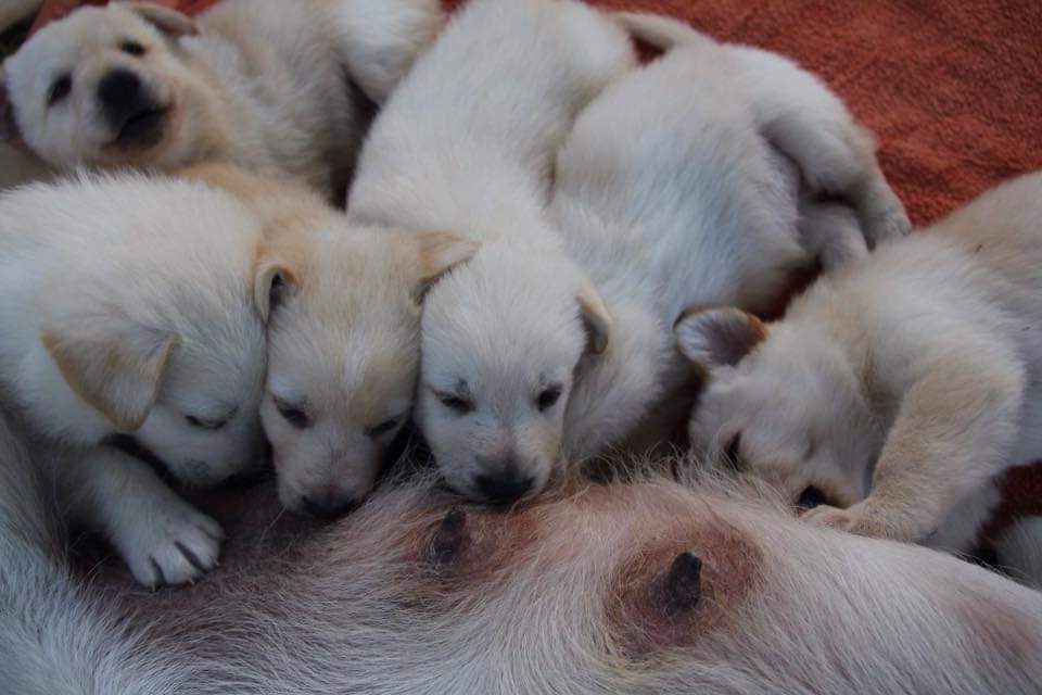 fb img 1581192213344 1.jpg w=960